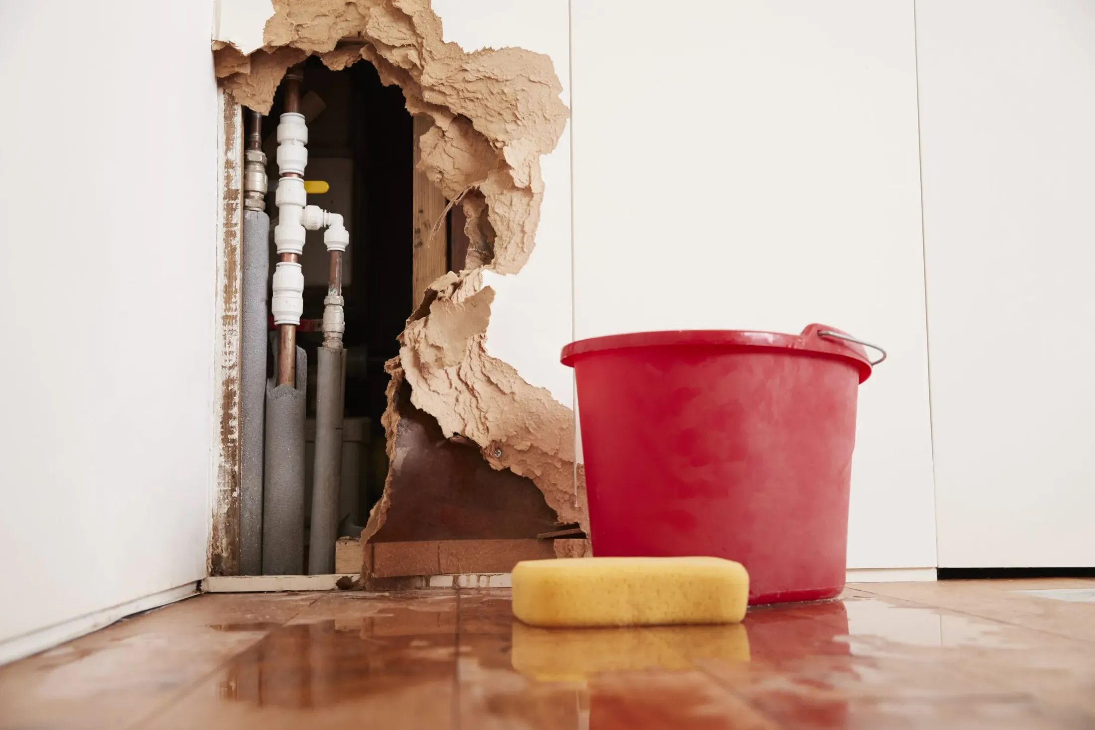 Trusted mold remediation for properties in Taos, NM by ServiceMaster Restoration by Sinergia Enterprises - Taos