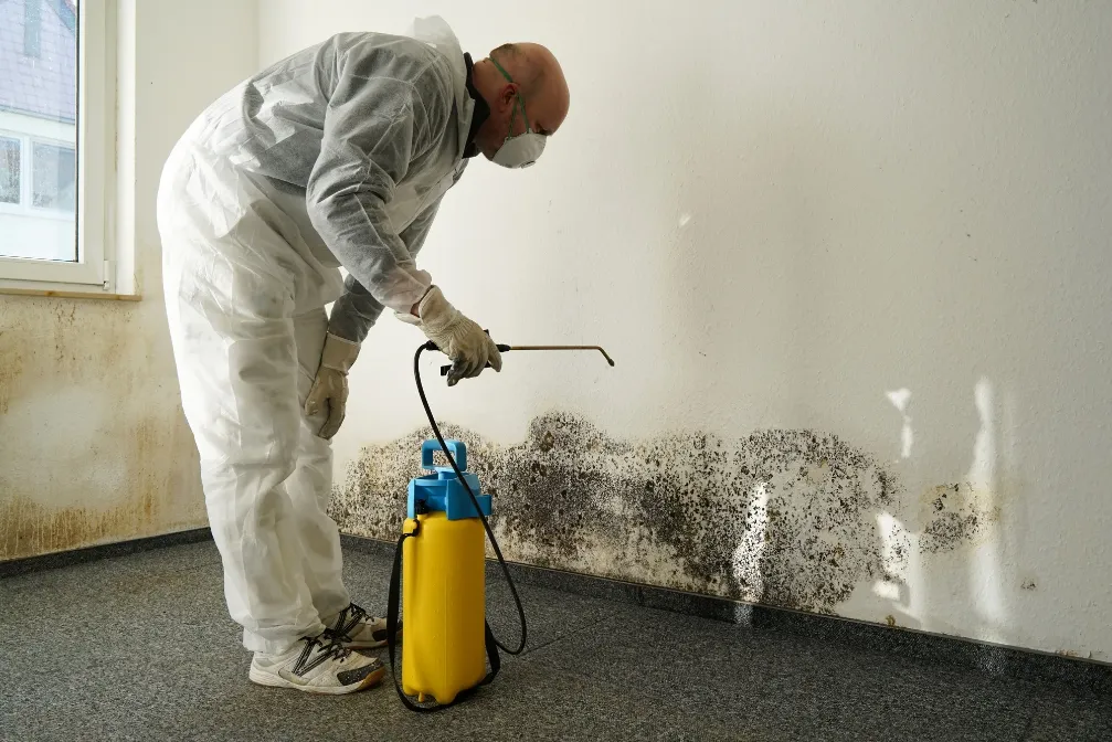Professional sewage backup cleanup for properties in Taos, NM by ServiceMaster Restoration by Sinergia Enterprises - Taos