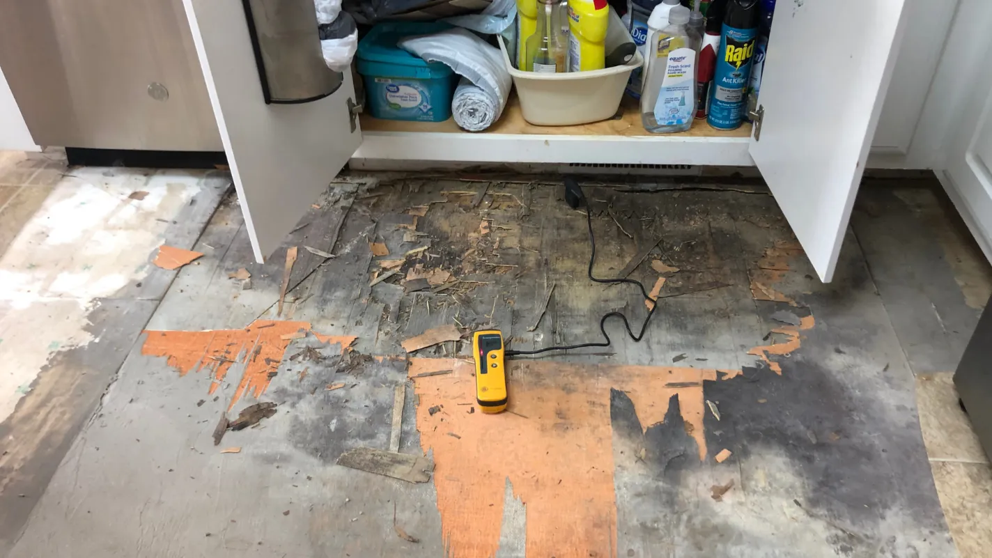 Emergency structural drying experts serving Taos, NM - ServiceMaster Restoration by Sinergia Enterprises - Taos