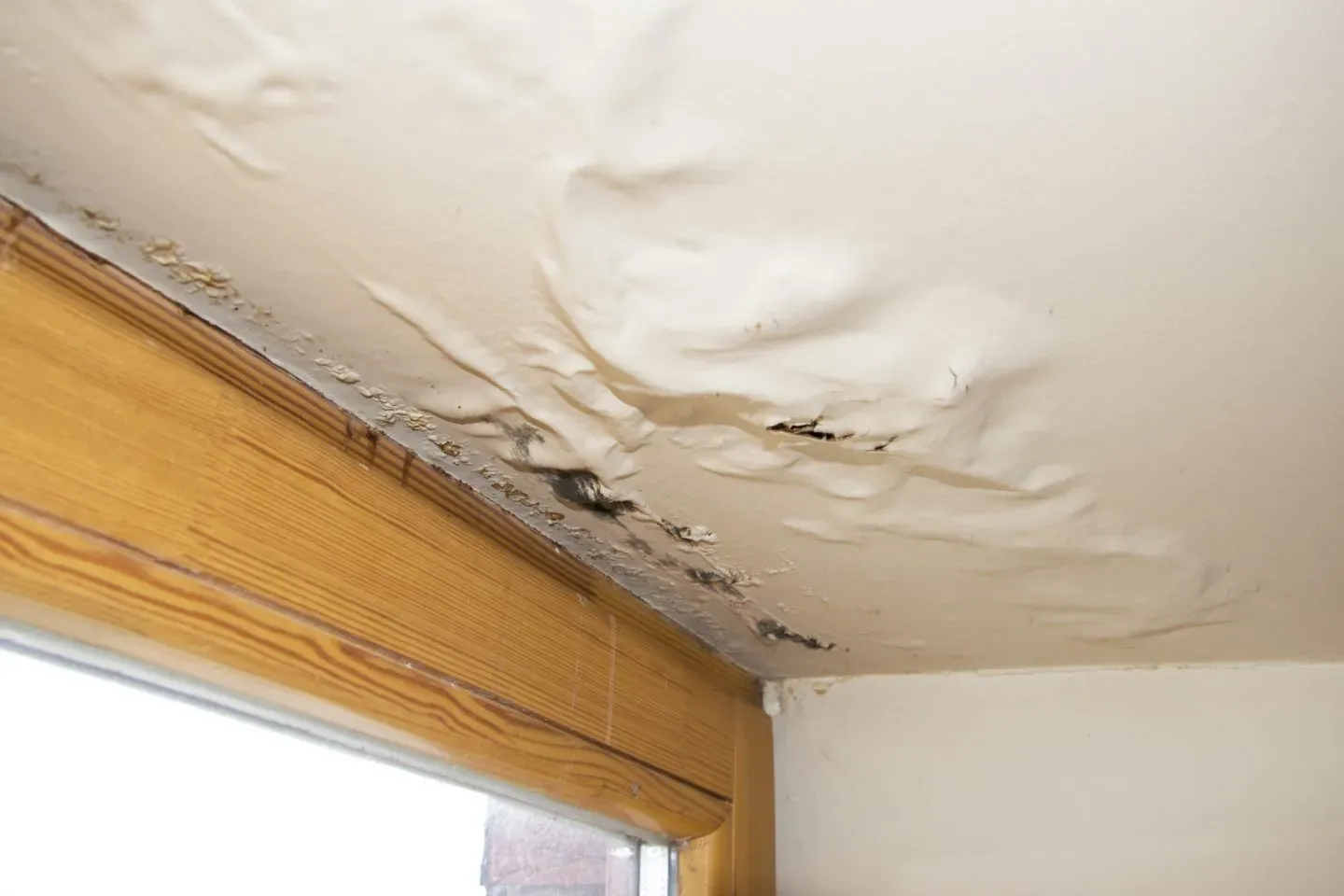 Expert water extraction service in Taos, NM - ServiceMaster Restoration by Sinergia Enterprises - Taos